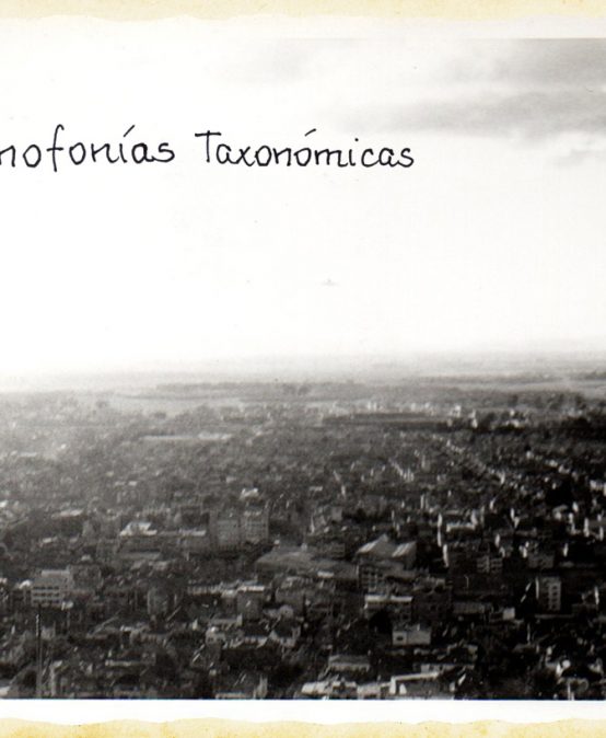 Mnemofonías Taxonómicas – María A. Valencia